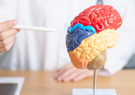 Врач назвал причину шизофрении и рекуррентной депрессии