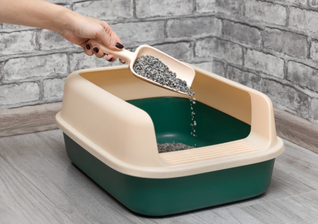 Киевлянам предложили кошачьи лотки на фоне проблем с ЖКХ