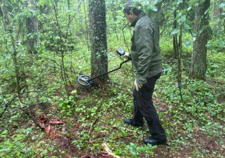 Школьника из Ленобласти арестовали по делу об убийстве в лесу
