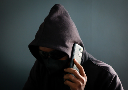 Сенатор объяснил, почему мошенничество невозможно полностью искоренить