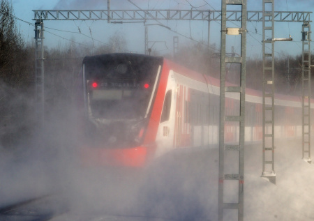 Пьяный мигрант погиб под колесами электрички в Ленобласти
