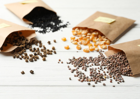 Садовод назвала растения, которые стоит посадить в начале февраля