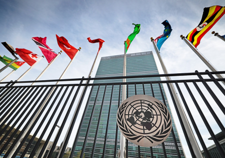 В МИД России высказались о странной дележке ООН по принципу Раскольникова