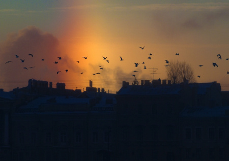 Москвичам пообещали редкие оптические явления в выходные