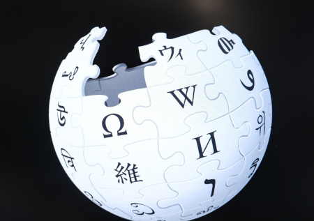 Философ рассказал о последствиях возможной блокировки «Википедии» в России