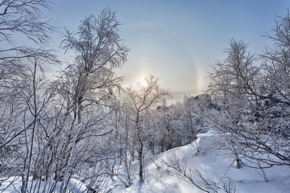 Приметы о погоде 1 февраля