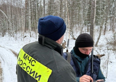 В Ленинградской области начали искать пропавшего ребенка