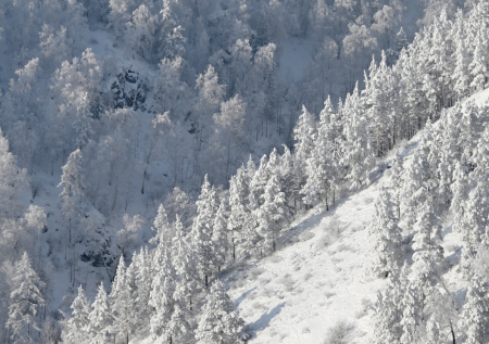 Российскую метеостанцию признали самым холодным местом на Земле