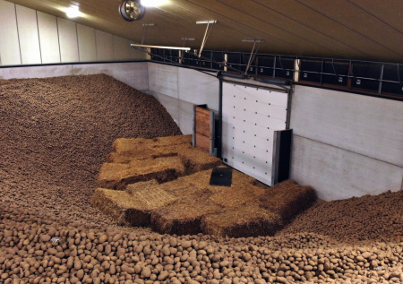 В центре Европы начался «картофельный потоп»