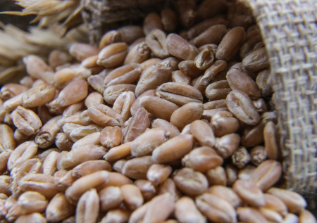 Поезд с российским зерном отправился в Армению транзитом через Азербайджан