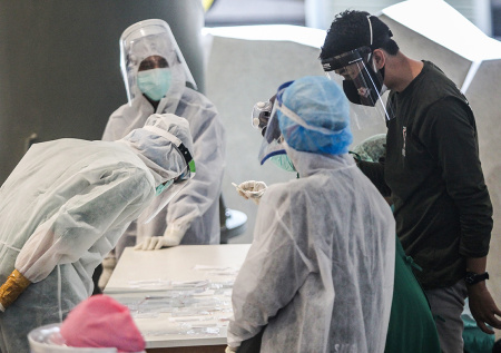 Инфекционист объяснила, почему вирус Нипах не повторит судьбу коронавируса