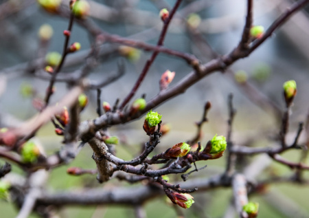 Синоптик сделал неожиданное заявление о наступлении весны