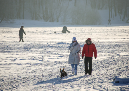 Лютый дубак и холод до –25? Погода в Москве на следующей неделе: чего ждать