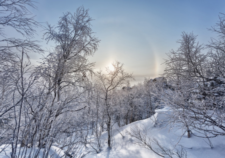 В Сети появились тайные фото группы Дятлова