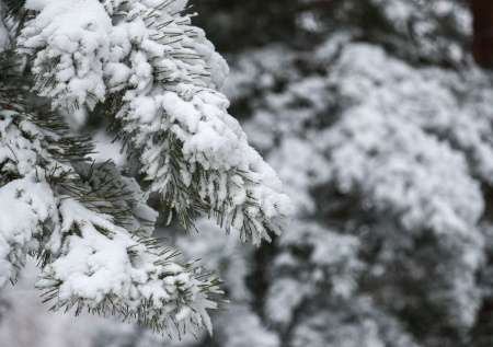 Адский холод будет длиться вечно? Прогноз погоды в Москве на неделю