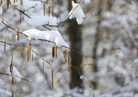 Синоптики предрекли похолодание на Сахалине