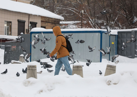 Похолодало до -30. Когда будет оттепель? Прогноз погоды в Москве на февраль