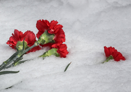 Раскрыта новая деталь о семье погибшего мальчика из Петербурга