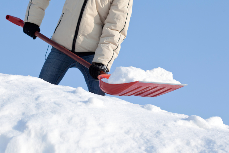 Снегозадержание в саду: куда и зачем набрасывать сугробы