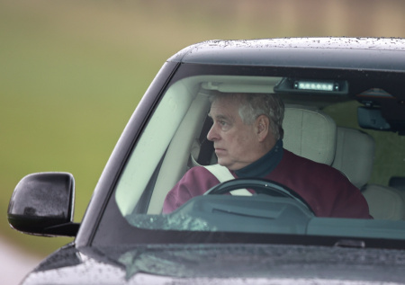 В файлах Эпштейна нашлось письмо об убитой принцем Эндрю секс-рабыне