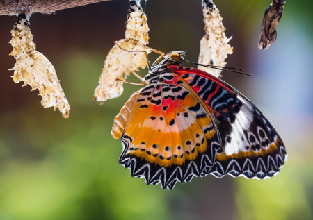 Ученые провели исторический эксперимент в космосе