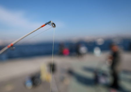 Двое американцев убили редкую рыбу ради фотографии