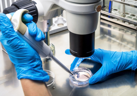 Раскрыты результаты допинг-тестов участников Олимпиады-2026 от России