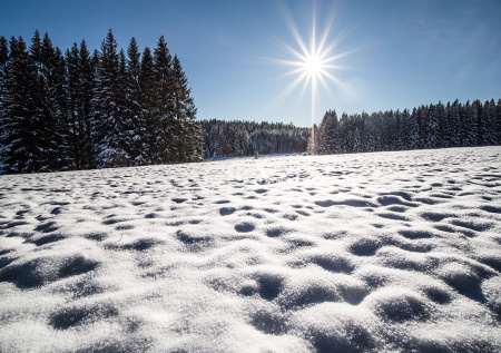 Приметы 4 февраля — Тимофей-полузимник: макушка зимы и проверка запасов