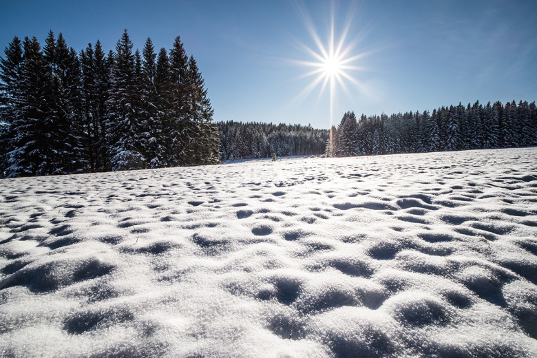 Что можно и нельзя делать 4 февраля