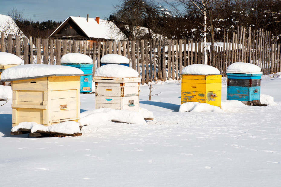 Народные приметы 4 февраля