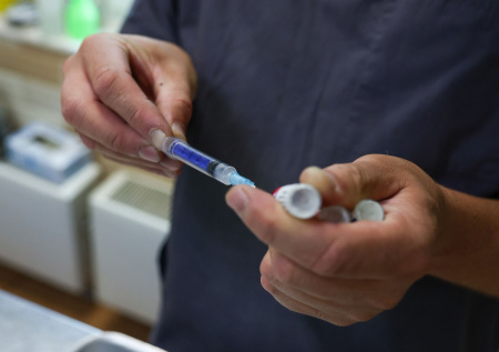 Ветеринары из Москвы достали из пасти кота швейную иглу