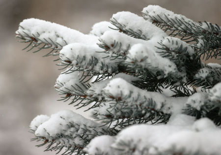 Погода в Москве в среду, 4 февраля: столицу затопит из-за сугробов?