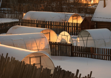 Дачникам назвали одну проблему на участке, которой нужно заняться в феврале