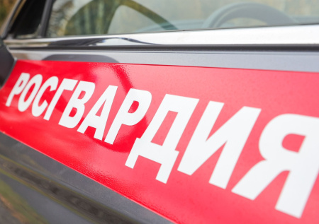 Росгвардия проверит ЧОП после двух нападений в школах Красноярского края