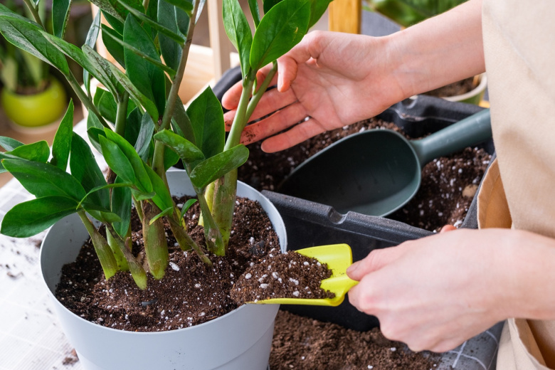 Готовим садовую аптечку на новый сезон — что нам нужно на 100%