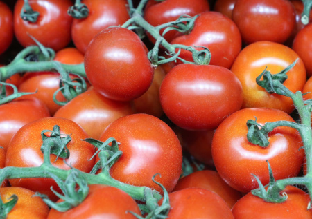 Более 18 тонн зараженных помидоров из Узбекистана выявили в Новосибирске