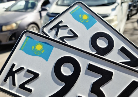 В Казахстане запретили автономера, вызывающие ассоциации с геями