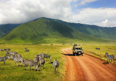 Исколесивший всю Африку турист назвал три лучших страны континента