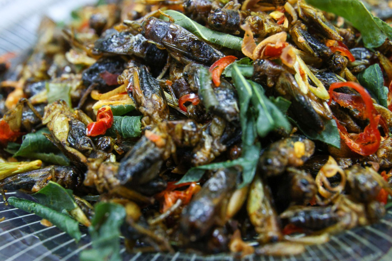 Блюдо из насекомых