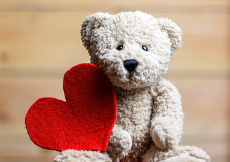 Милонов оценил идею «перепрофилировать» 14 Февраля в День плюшевой игрушки