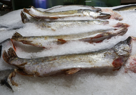 Торговый эксперт рассказал, как изменятся цены на рыбу