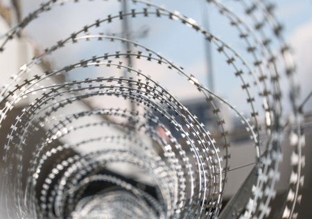 Нобелевского лауреата приговорили к тюремному заключению в Иране