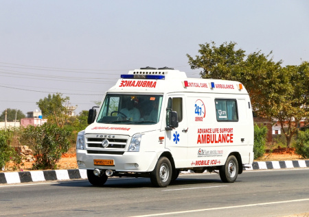 Неизвестный хищник растерзал пожилую женщину