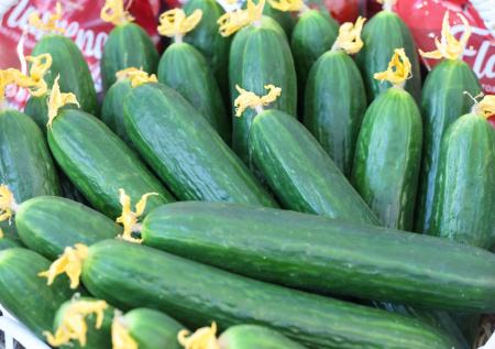 Россиян попросили не беспокоиться насчет двукратного роста цен на огурцы
