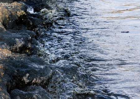 На Кубани высказались о выбросах мазута на пляжах Анапы