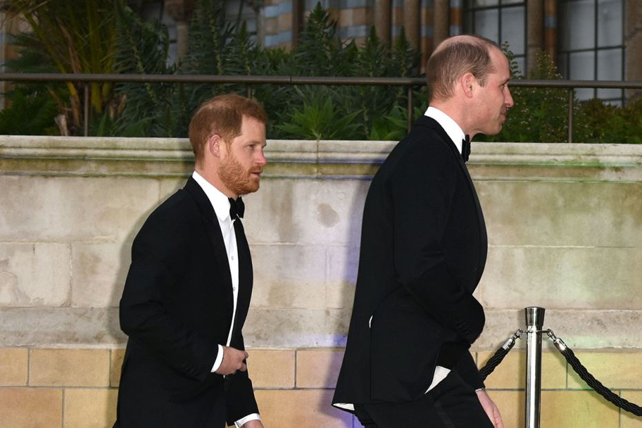 Принц Гарри и принц Уильям