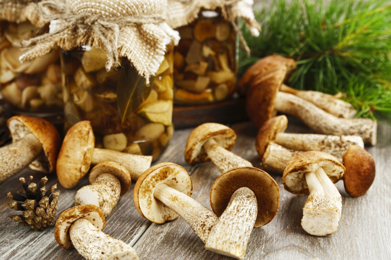 К чему снится собирать грибы: удача или подвох?