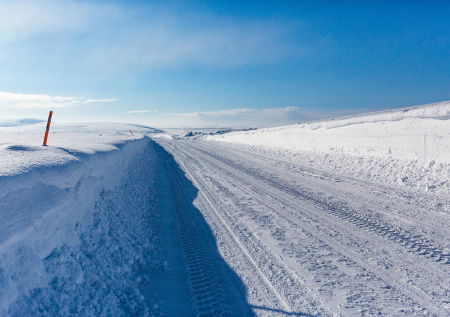 Китайским туристам пришлось самим чистить снег в Териберке