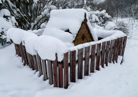 Биолог призвала дачников проверять воду в колодце на нитраты