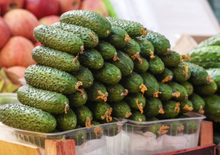 Финансист ответила, когда снизятся цены на огурцы